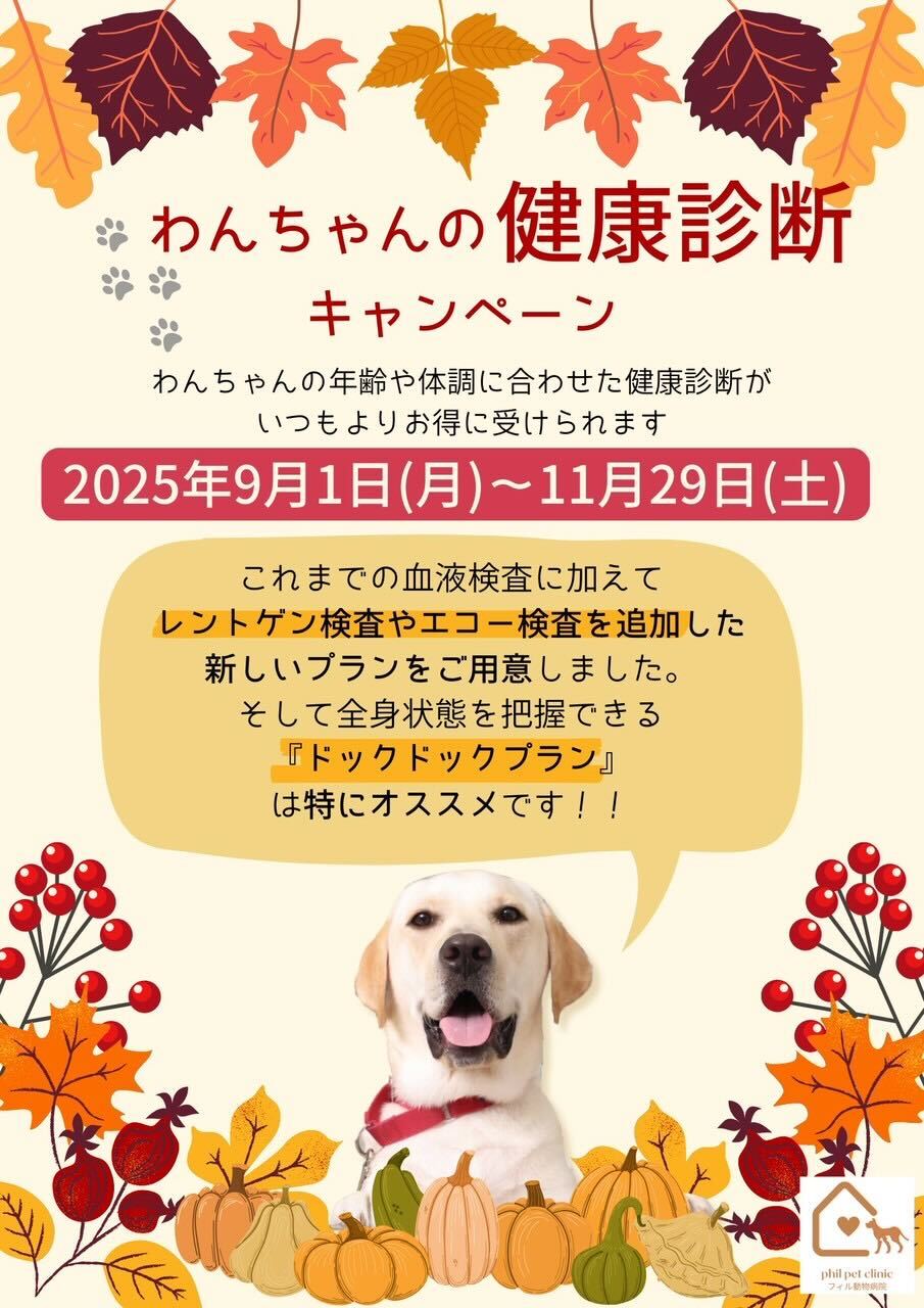 わんちゃんの健康診断キャンペーン ポスター