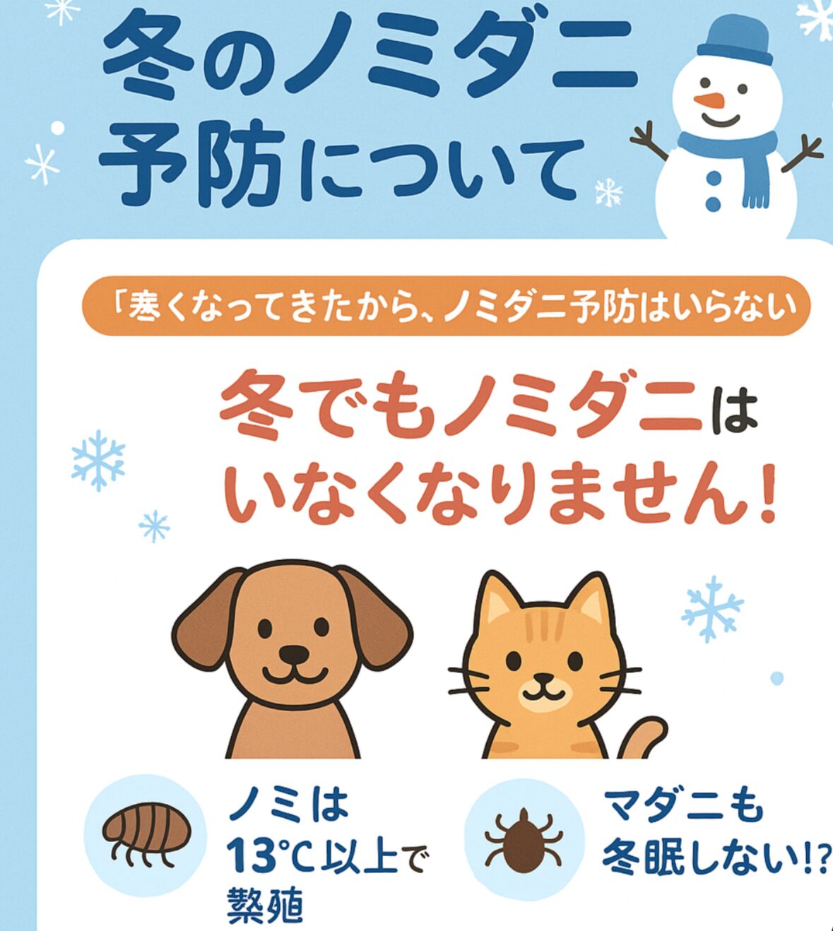 冬でも油断禁物！ノミ・マダニ予防｜フィル動物病院