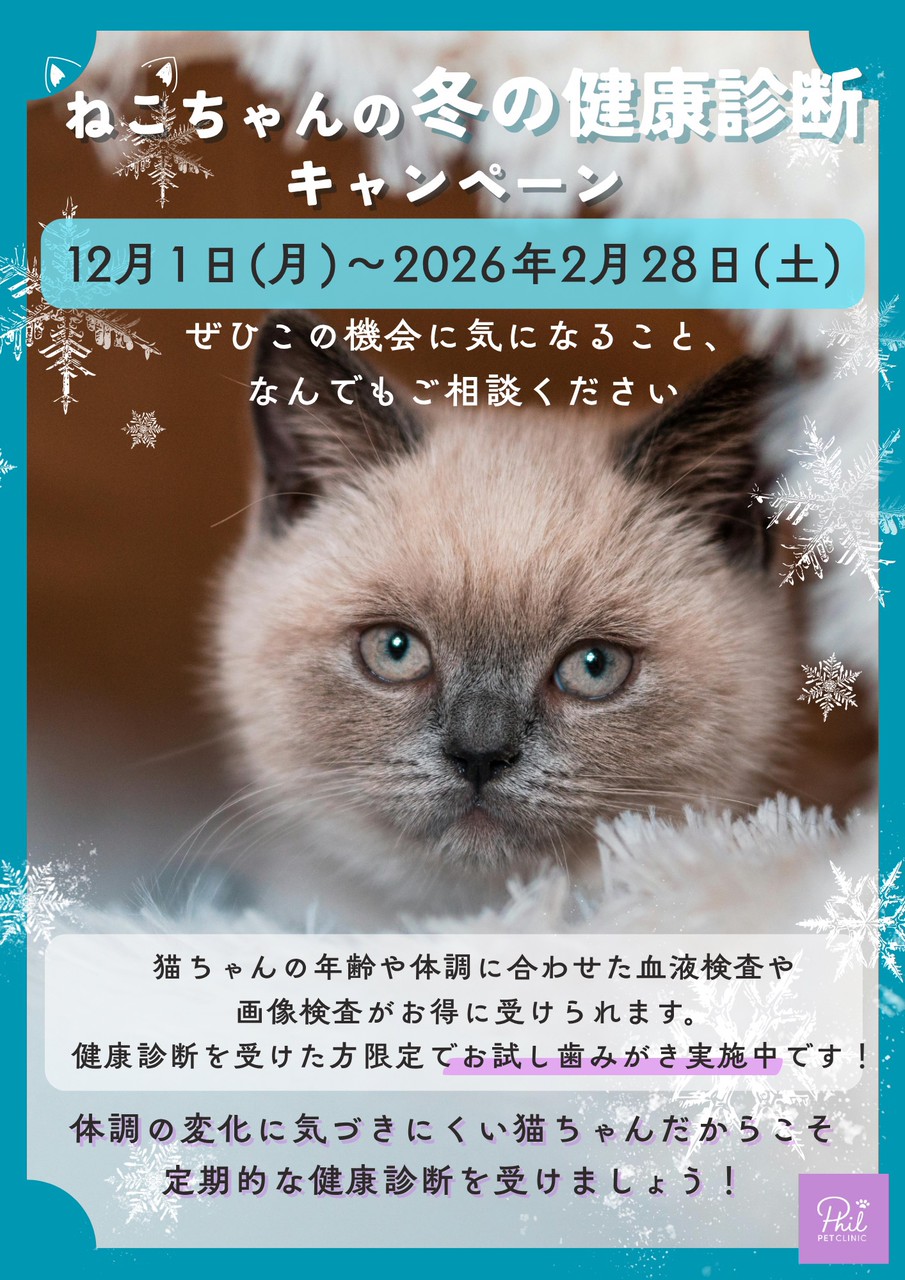 ねこちゃんの冬の健康診断キャンペーン