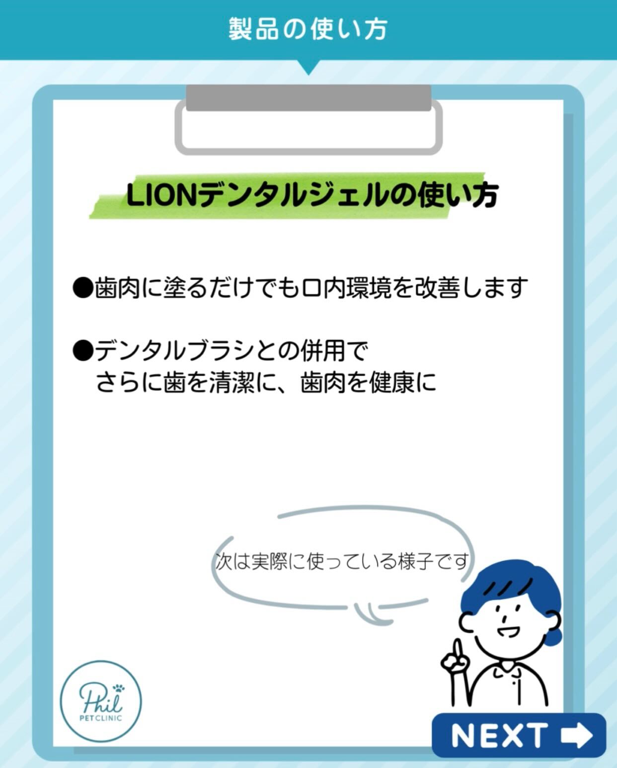 LIONデンタルジェルの使い方