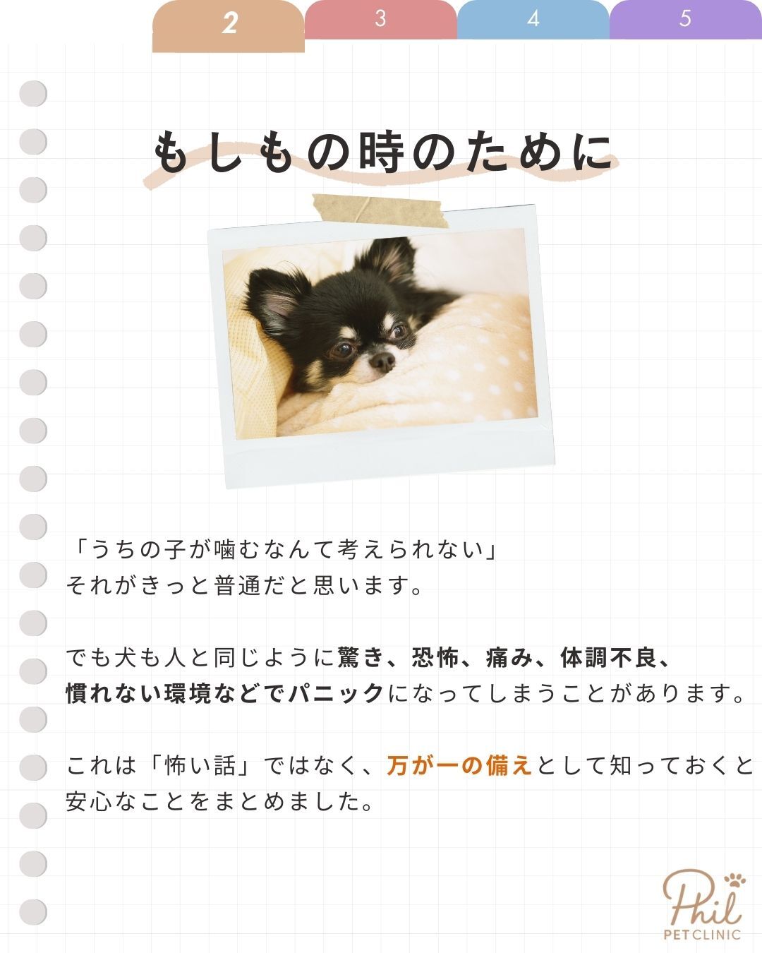 もしもの時のために 犬が噛む可能性