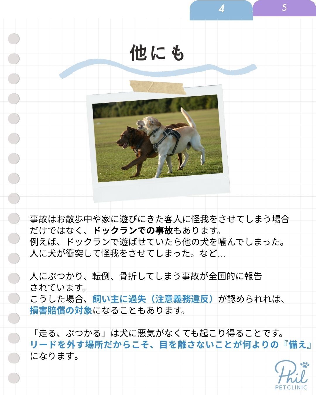 ドッグランなどでの事故