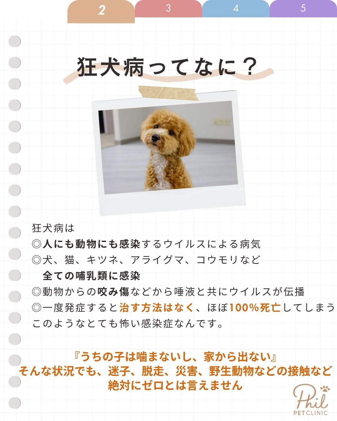 狂犬病とは 人と動物に感染する病気