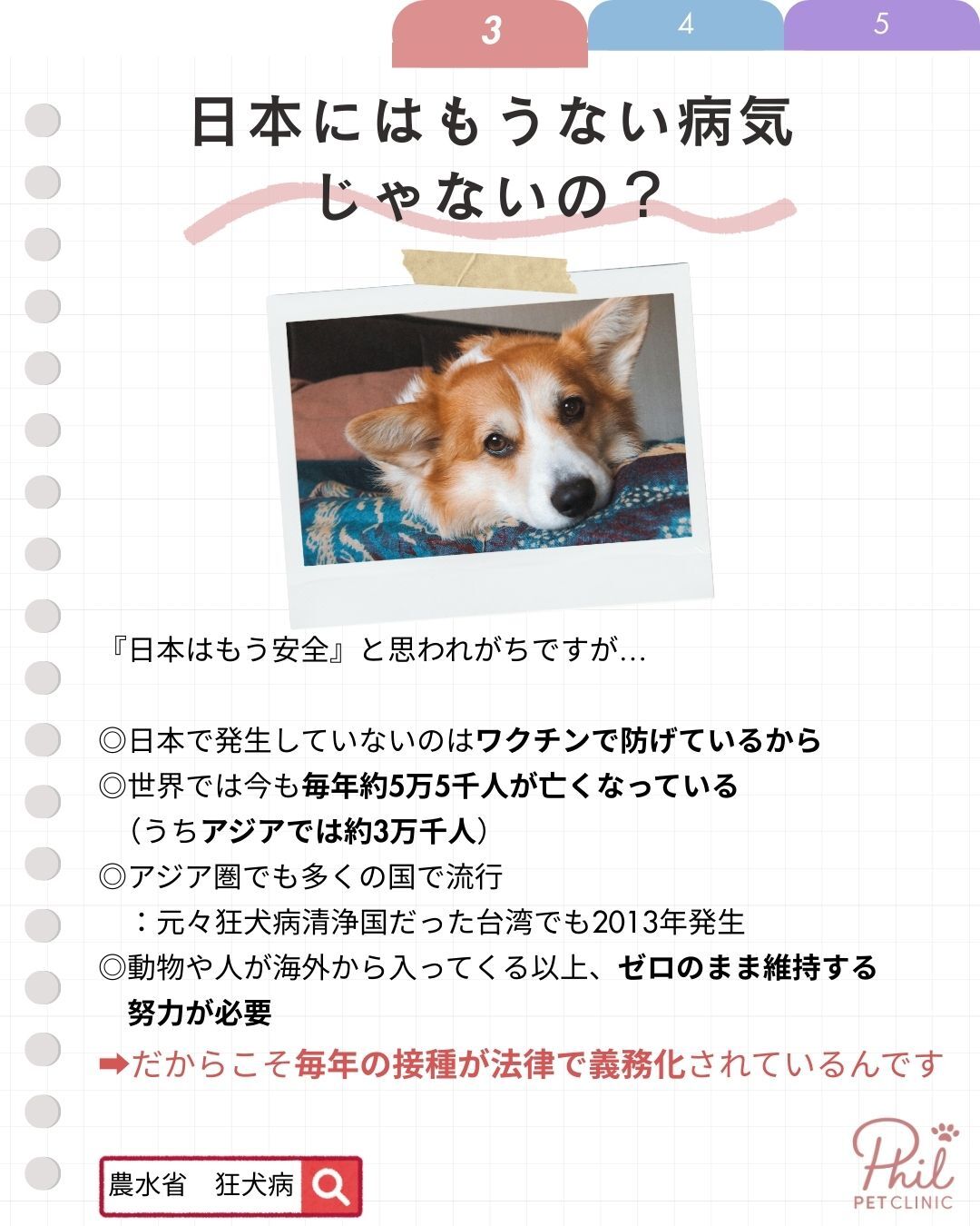 日本と狂犬病 ワクチンで防いでいる理由