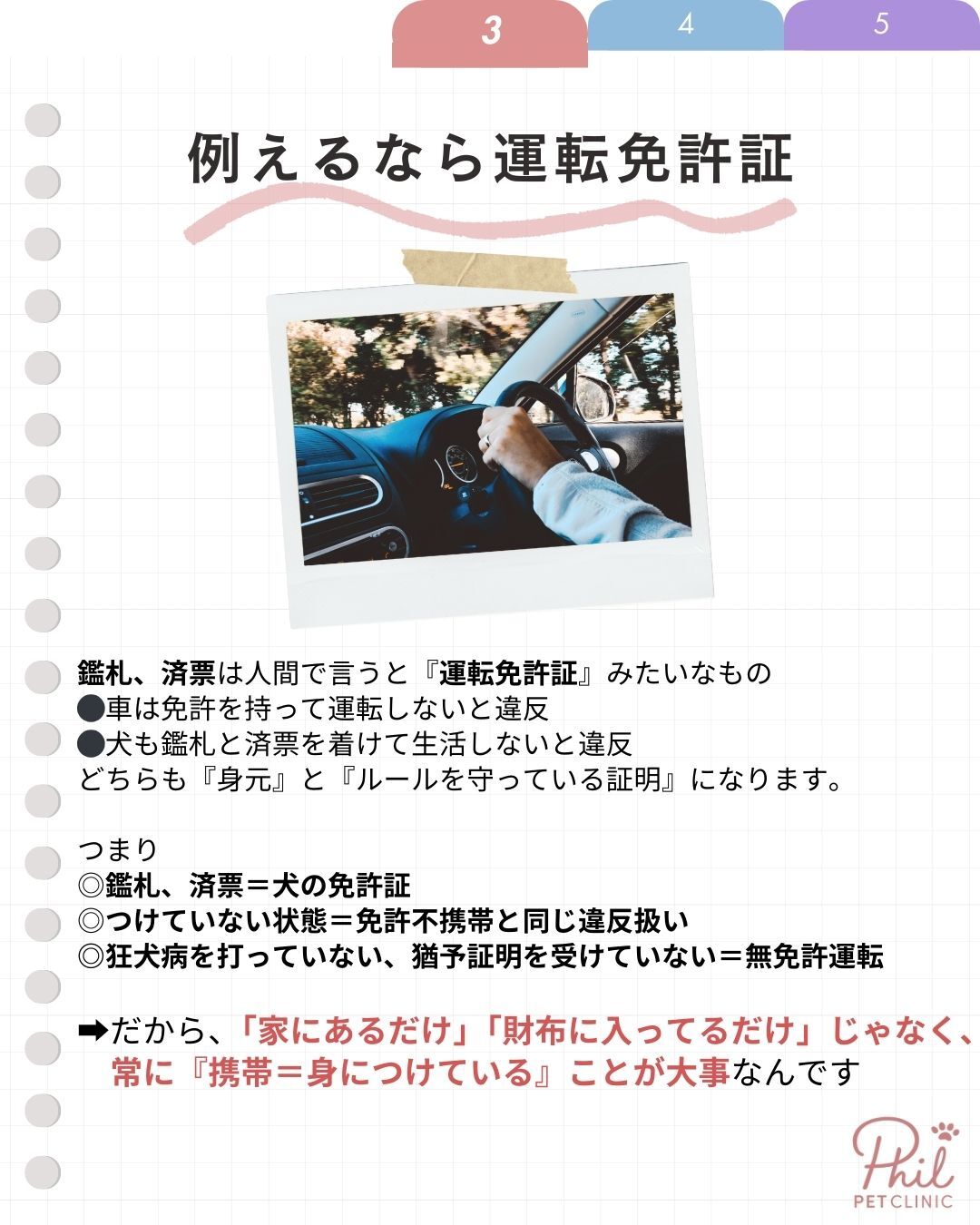 鑑札と済票は運転免許証みたいなもの
